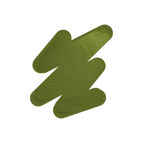 Olive U